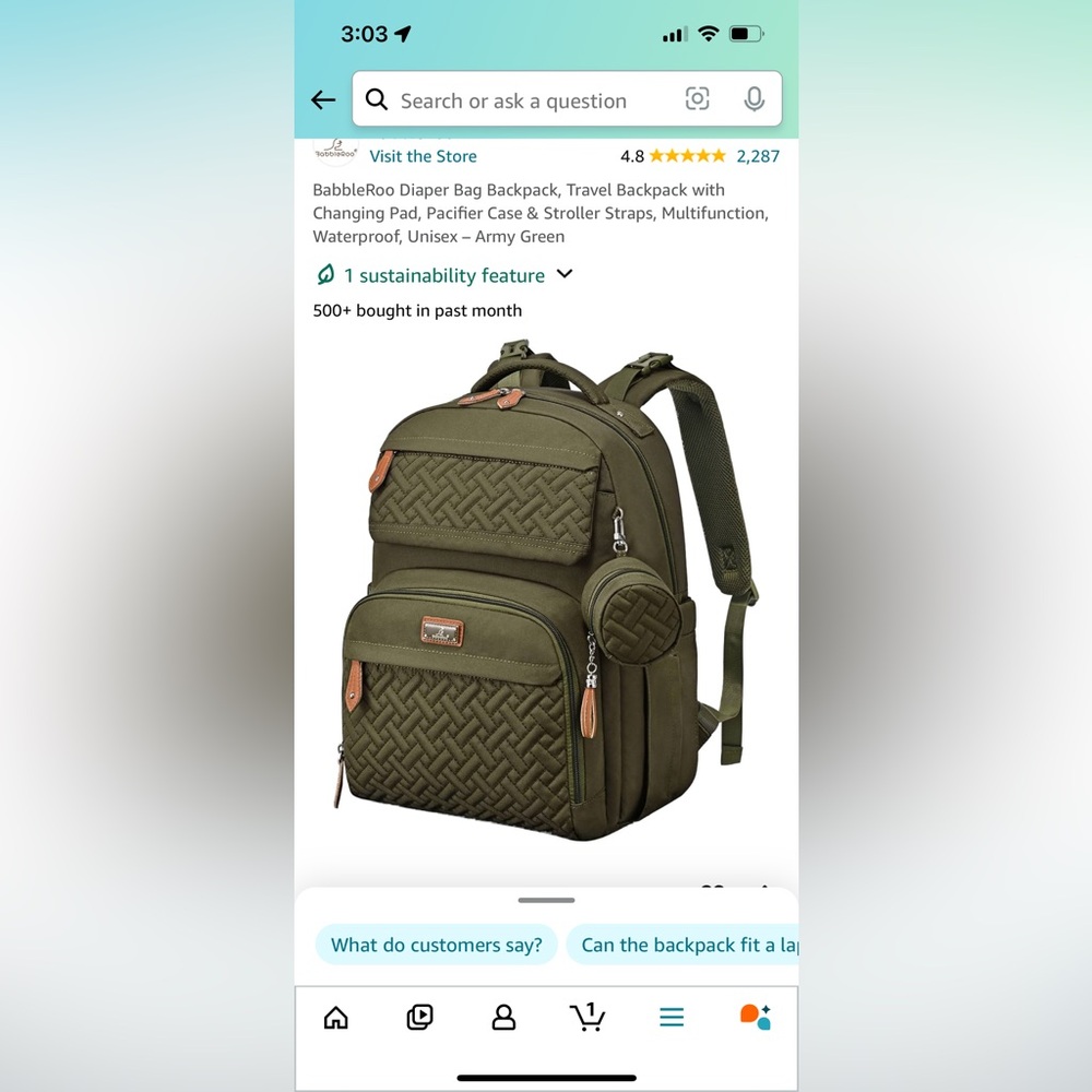 BabbleRoo Diaper Bag